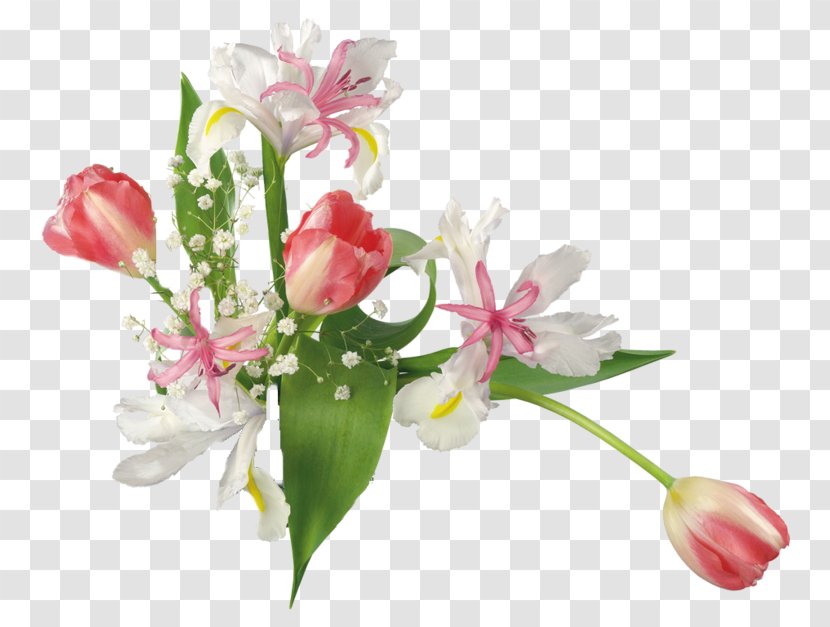 Lily Flower Cartoon - Cut Flowers - Family Artificial Transparent PNG