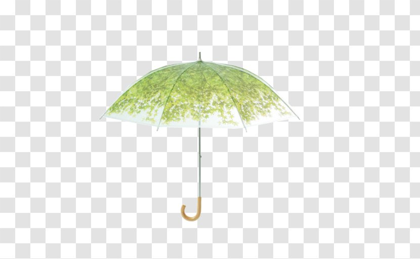 Umbrella Transparency And Translucency Sunlight Green Shade - Ga - Light Transparent PNG