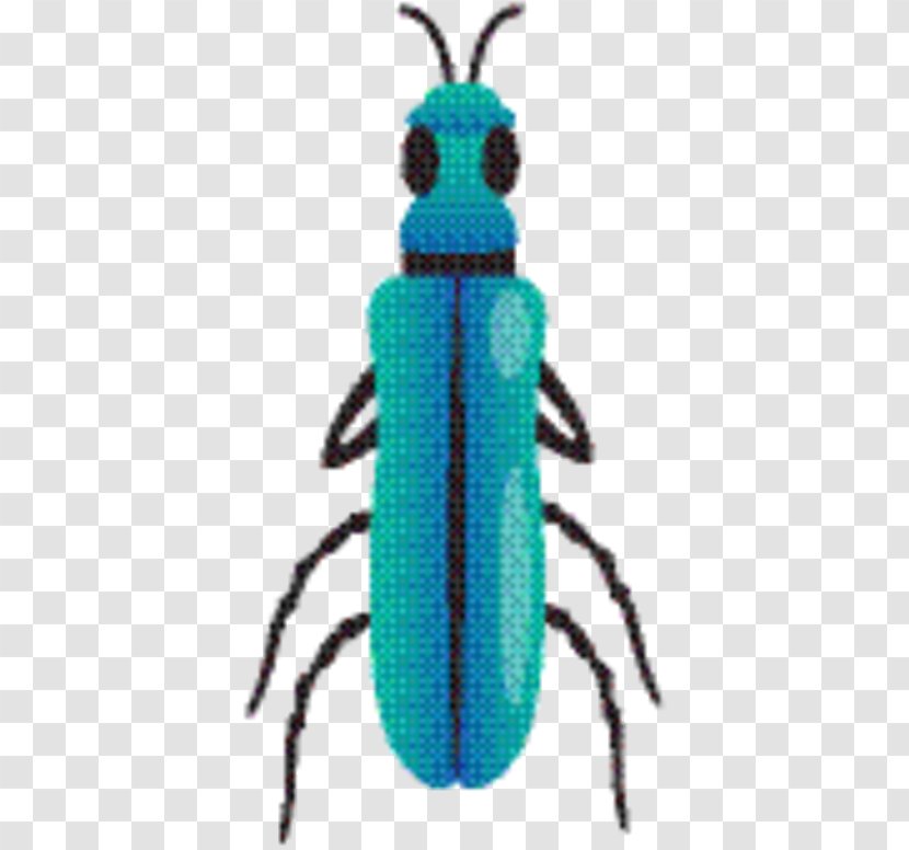 Weevil Beetle Pest Membrane Turquoise - Ground Jewel Beetles Transparent PNG