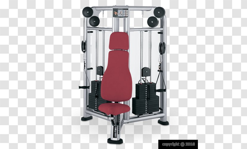 Bench Press Life Fitness Exercise Equipment Weight Training - Machine - Coach Transparent PNG