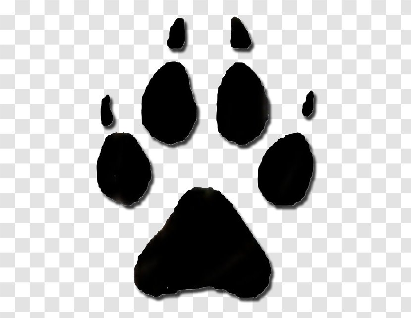 Animal Track Raccoon Footprint Clip Art - Snout Transparent PNG