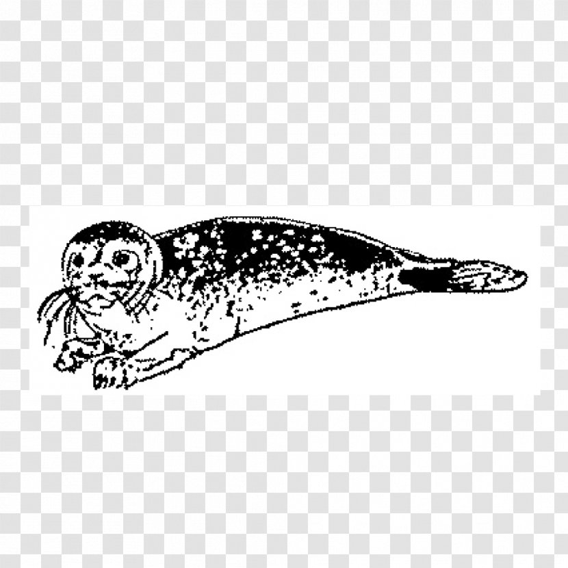 Earless Seal Drawing Marine Mammal Beak - Stamp Transparent PNG