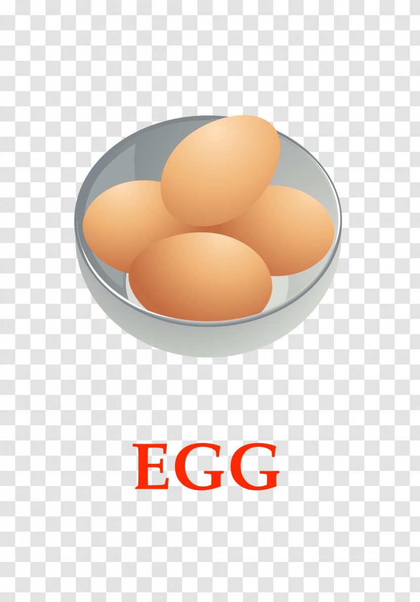 Egg Food Illustration - Poster - English Teaching Eggs Vector Transparent PNG