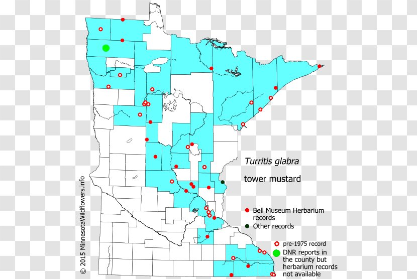 Line Point Land Lot Map Water Resources Transparent PNG