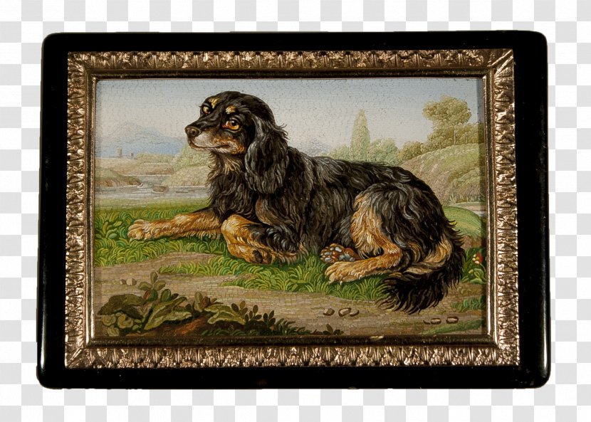 Dog Breed Spaniel Picture Frames Crossbreed Transparent PNG