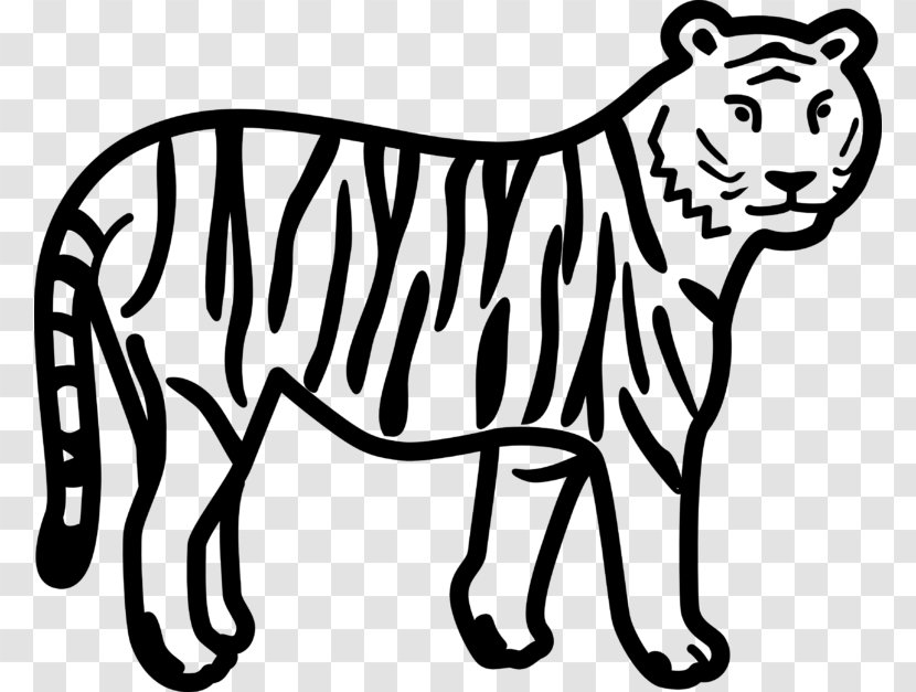 Tiger Coloring Book Lion Paw Cuteness - Mammal Transparent PNG