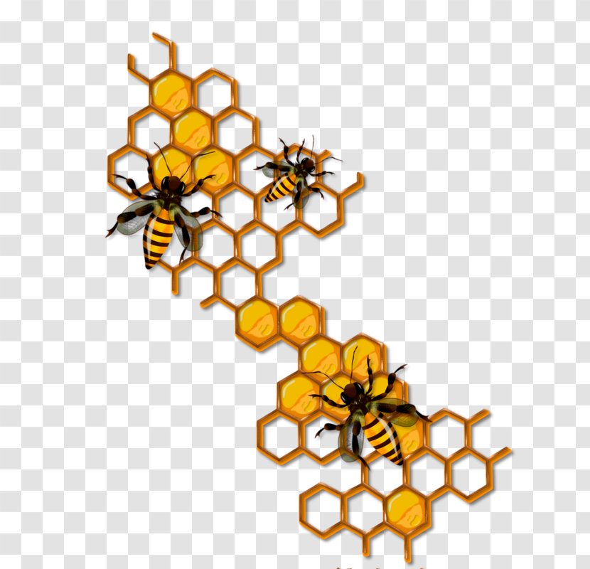 Bee Honeycomb Insect Clip Art Transparent PNG