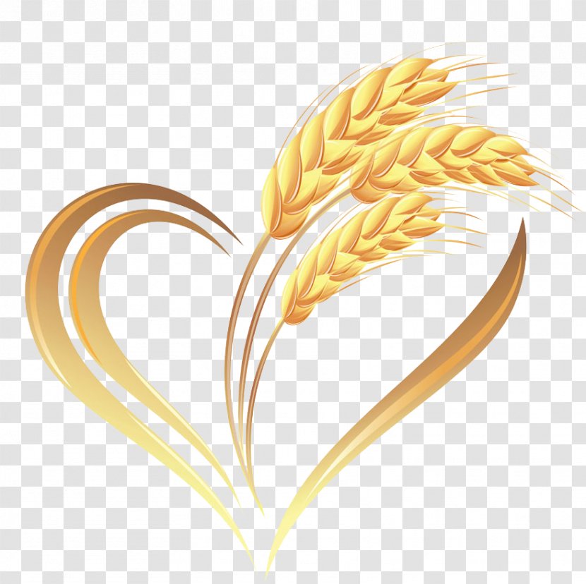 Wheat Heart Cereal - Whole Grain - Golden Transparent PNG