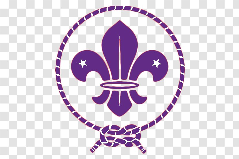 World Organization Of The Scout Movement Emblem Scouting Boy Scouts America - Pramuka Vector Transparent PNG