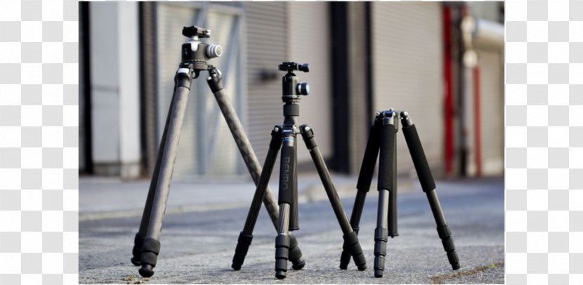 Tripod Photography Camera Manfrotto Digital SLR - Family Transparent PNG