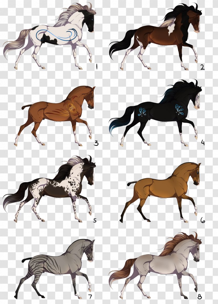 Mustang Stallion Foal Mare Colt - Terrestrial Animal Transparent PNG