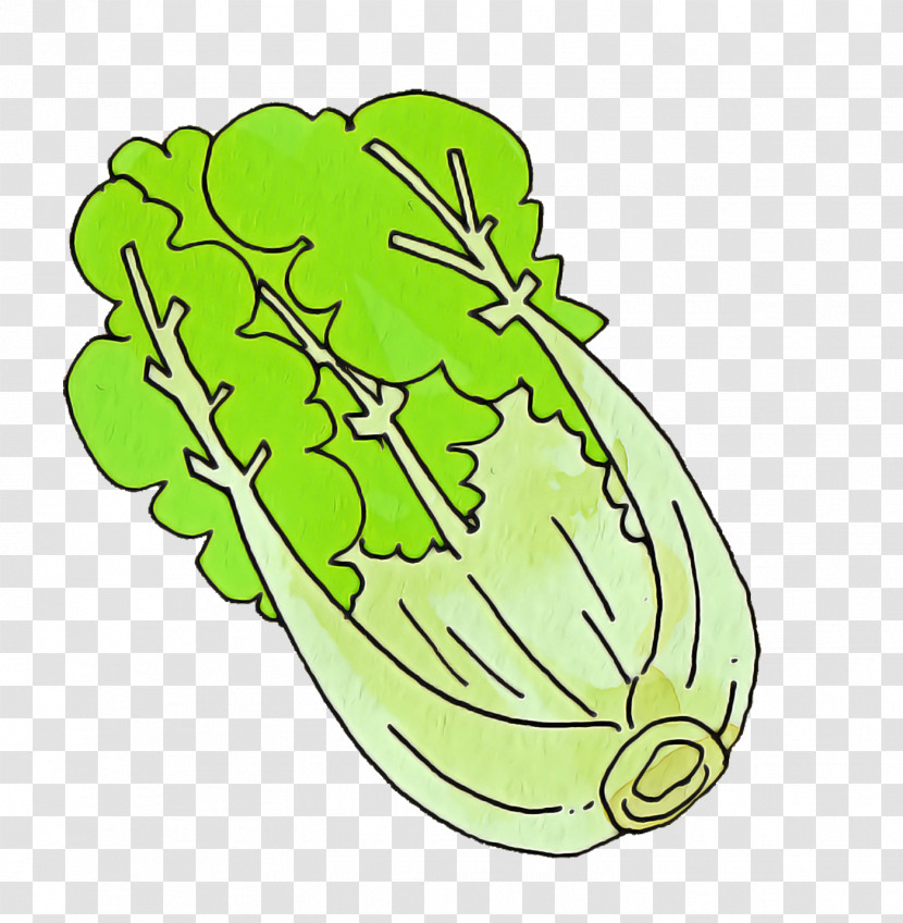 Fresh Vegetable Transparent PNG