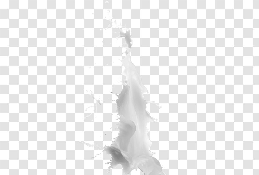 Black And White Pattern - Milk Splash Transparent PNG