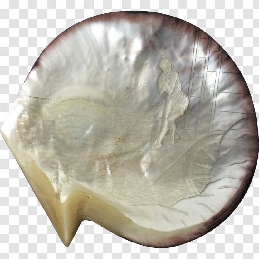 Nacre Pearl Seashell Pin Gemstone - In Shells Transparent PNG
