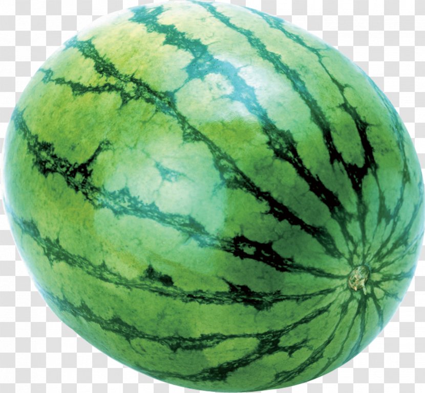 Garrys Mod Watermelon Canary Melon Cantaloupe Slices Transparent PNG