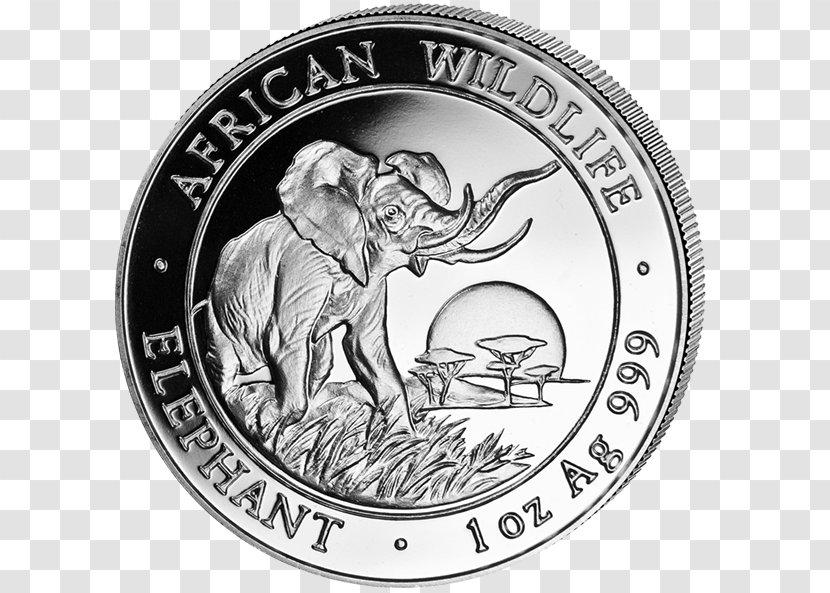 Somalia African Elephant Silver Coin Elephantidae Transparent PNG