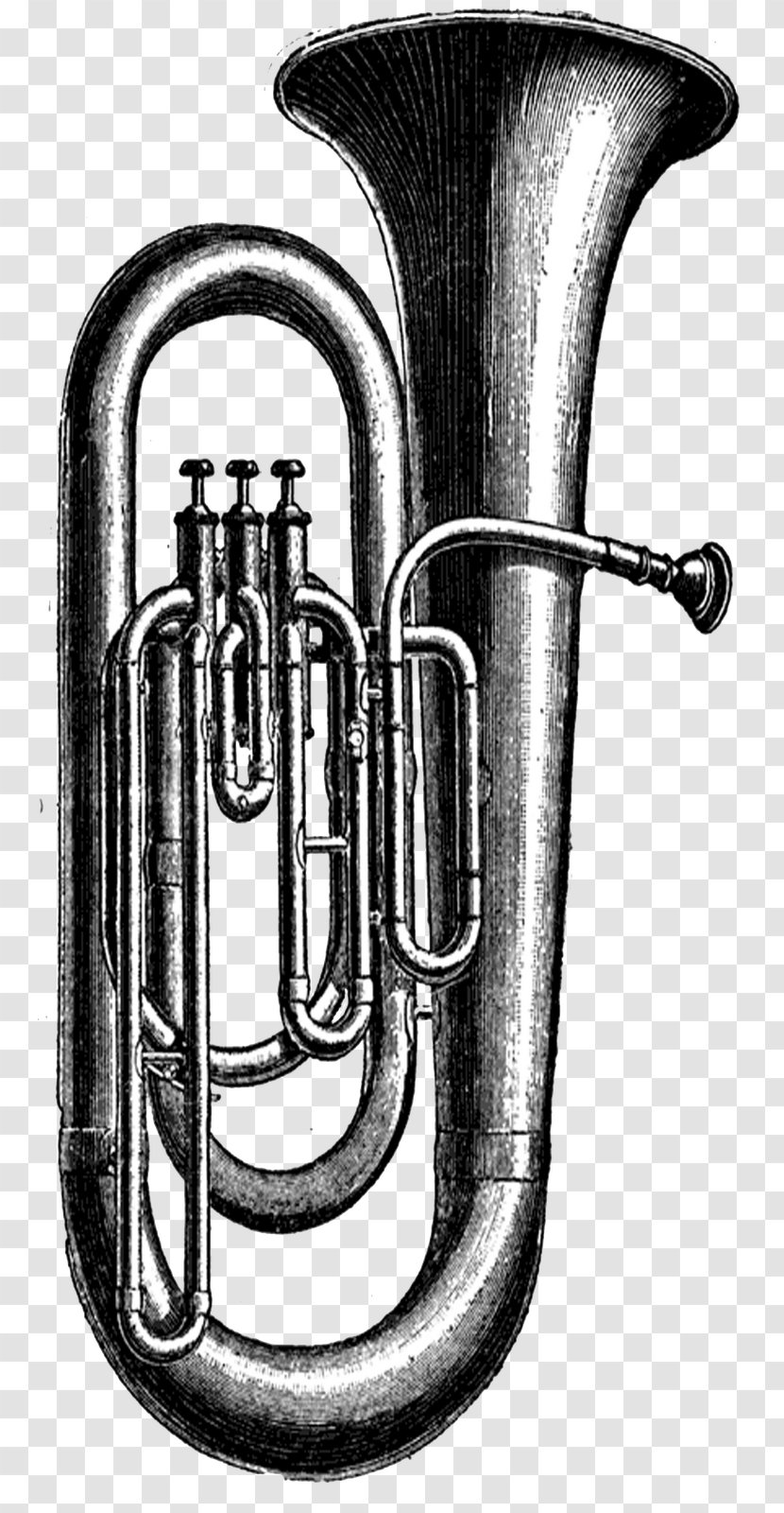 Tuba Musical Instruments Sousaphone Clip Art - Flower Transparent PNG