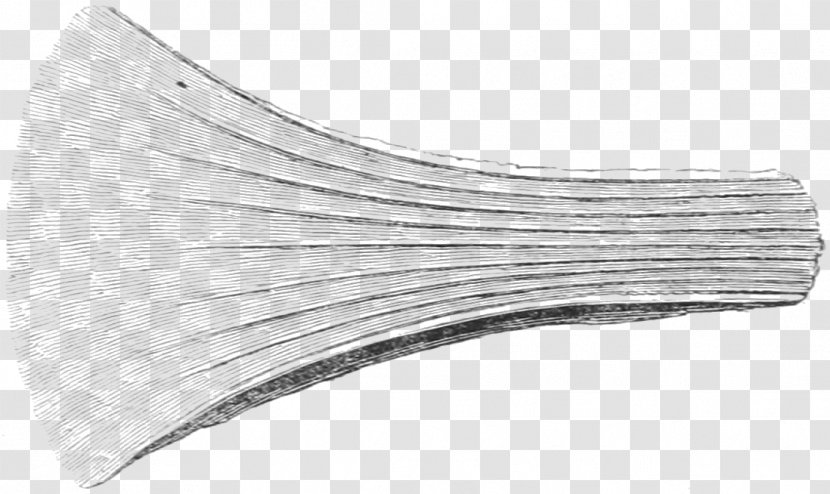 White Black Angle - And - Archaeologist Transparent PNG