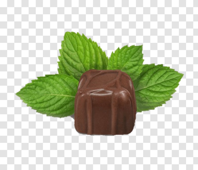 Chocolate Truffle Mint Caffeine - Infusion Transparent PNG