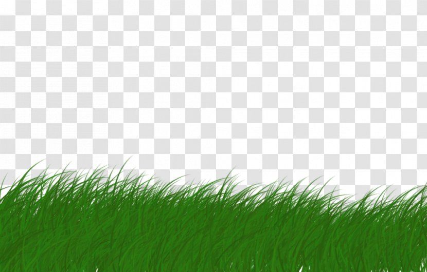Lawn Animaatio - Green - Goeuro Transparent PNG