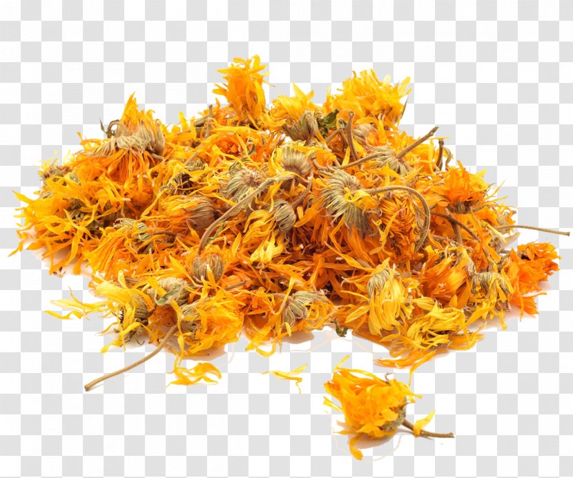 Flowering Tea Calendula Officinalis Herb - Marigold Transparent PNG