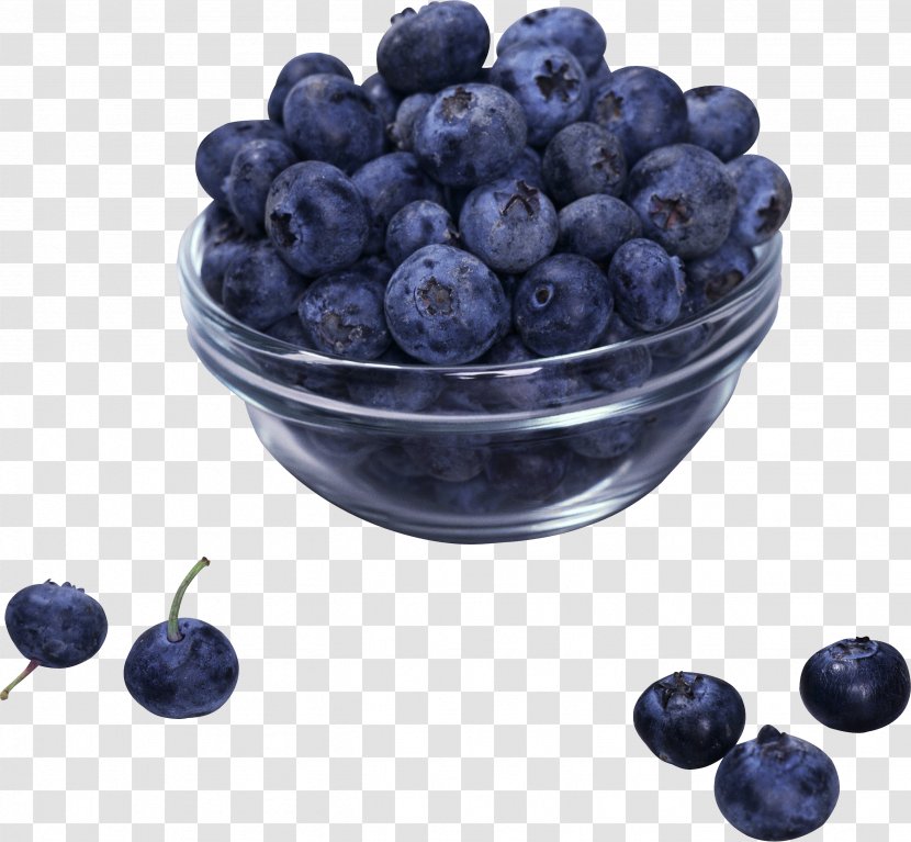 European Blueberry Bog Bilberry Food - Berry Transparent PNG