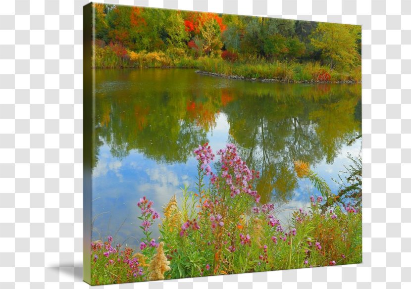 Painting Flora Acrylic Paint Gallery Wrap Ecosystem Transparent PNG
