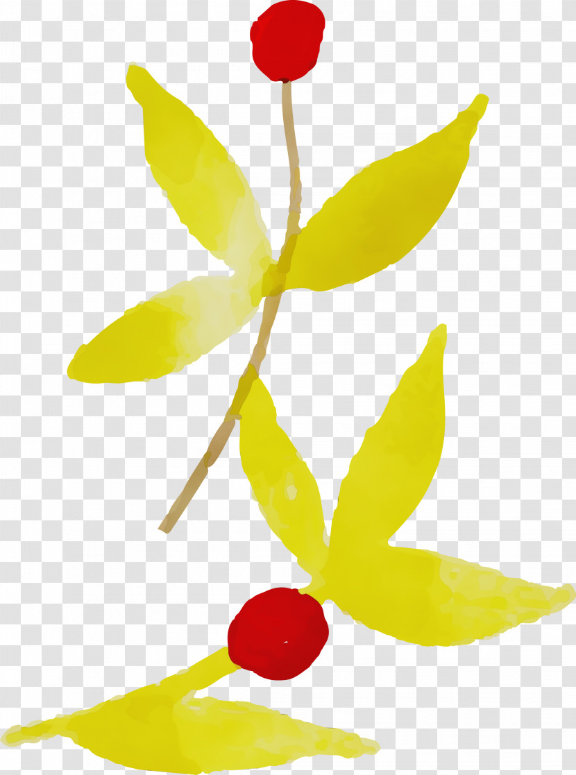 Plant Stem Leaf Petal Yellow Flora Transparent PNG