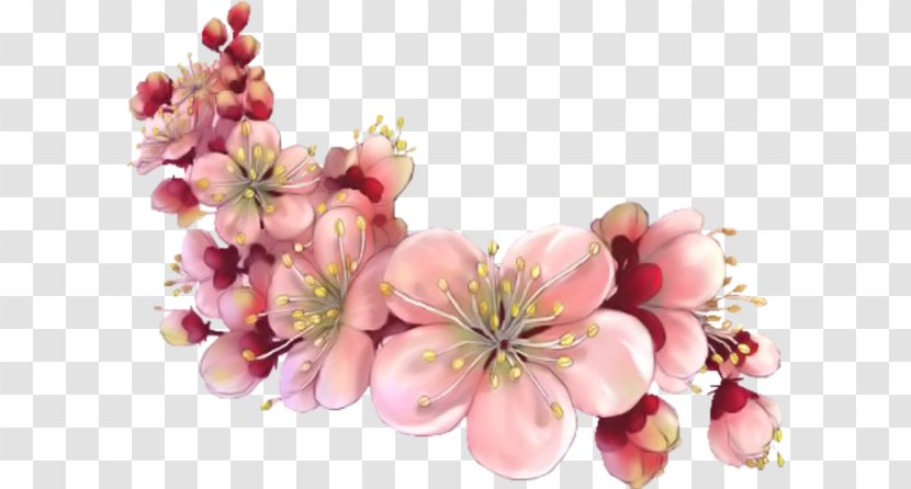 Saturday Morning - Blossom - Floating Petals Transparent PNG