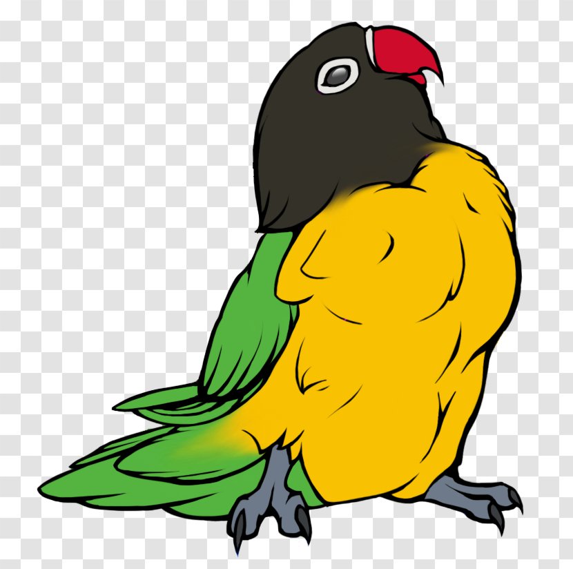 Bear Parrot Clip Art - Decal - Grizzly Graphics Transparent PNG