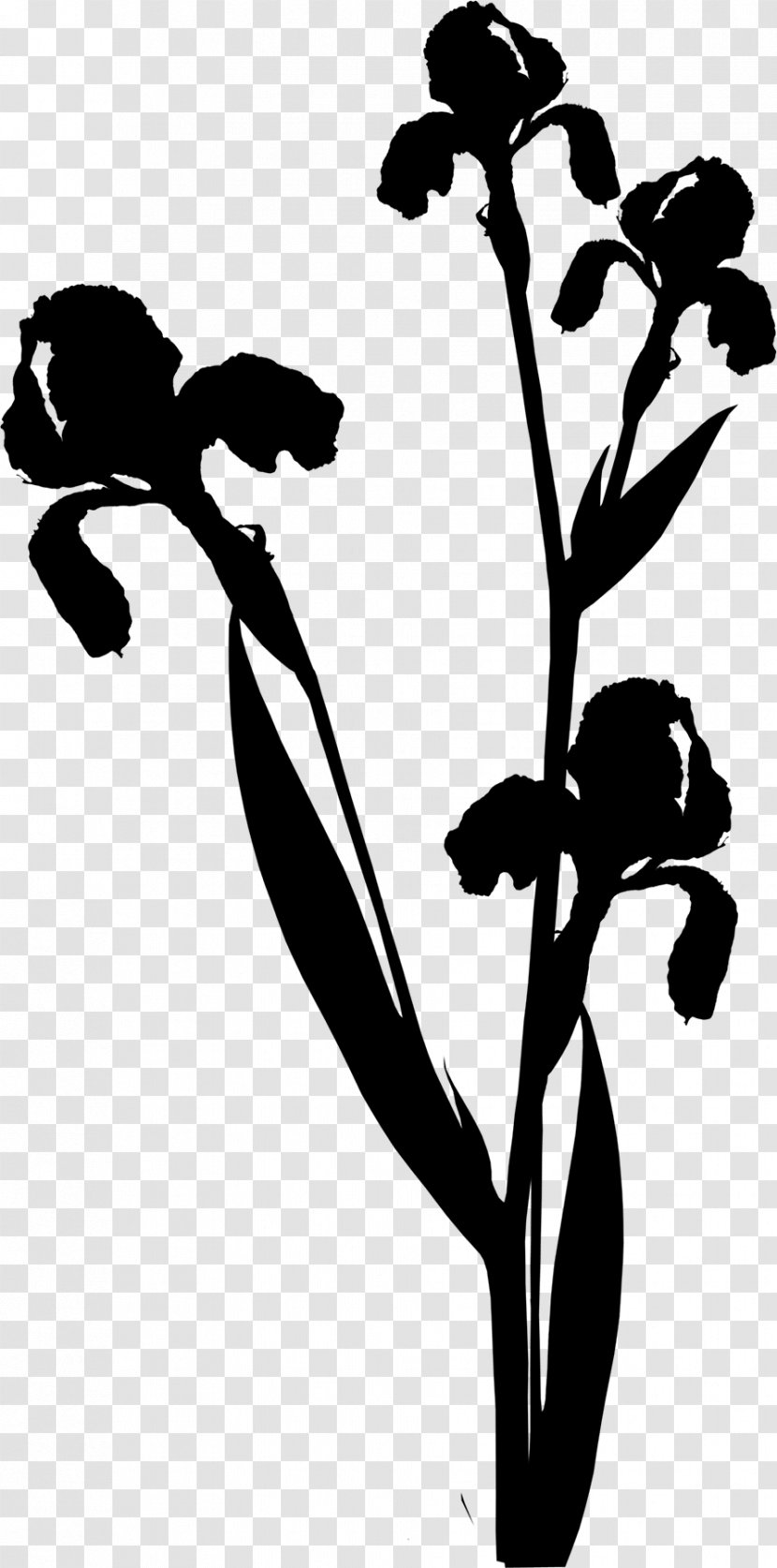 Clip Art Black & White - Leaf - M Flower Plant Stem Transparent PNG
