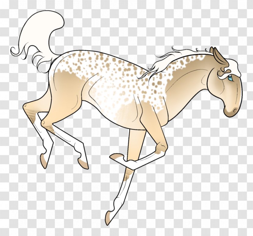 Mane Foal Mustang Halter Pony Transparent PNG