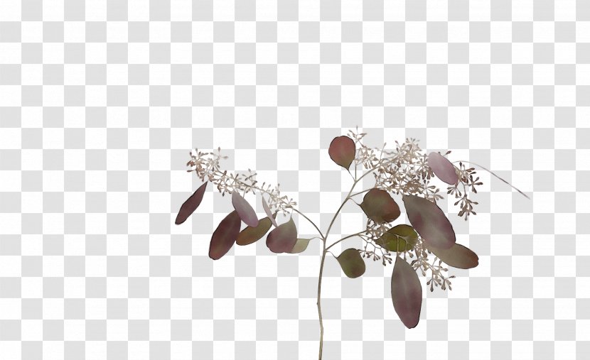 Jewellery - Tree - Twig Transparent PNG