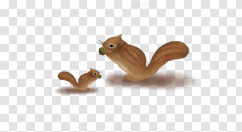 Happy Squirrel Chipmunk Download - Mammal Transparent PNG