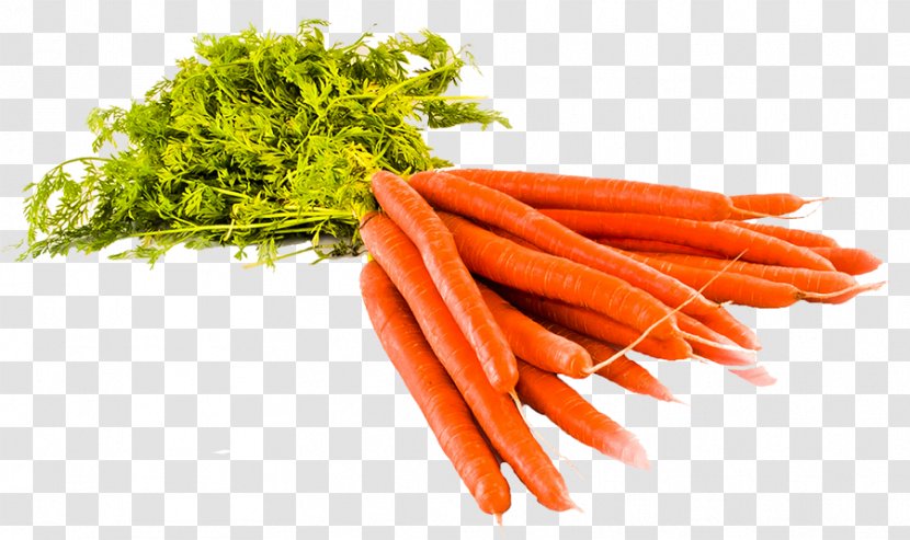 Baby Carrot Common Beet Plants Vegetable - Beta Transparent PNG