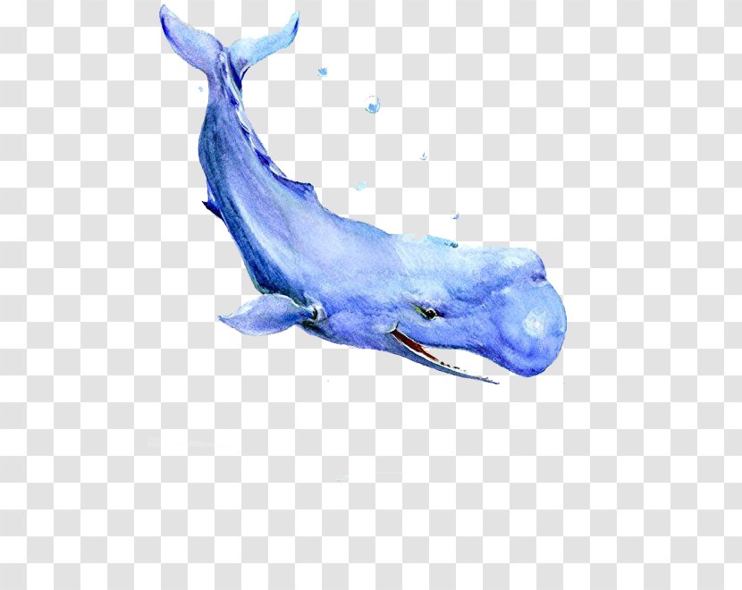 Baleen Whale Blue Watercolor Painting Transparent PNG
