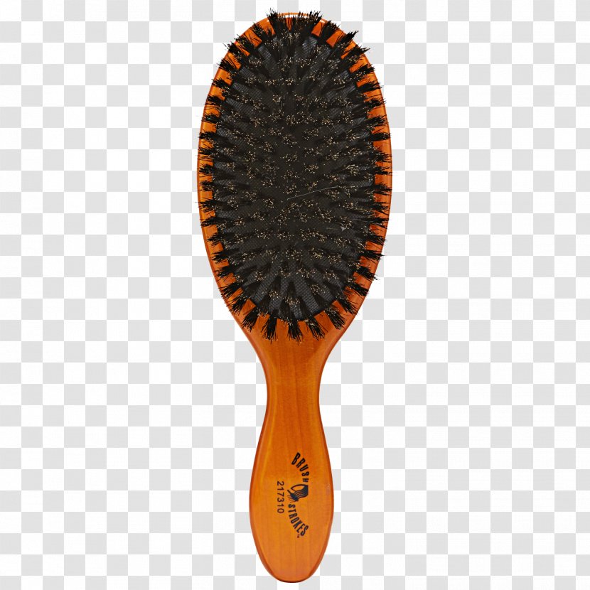 Wild Boar Comb Hairbrush Bristle - Hair Coloring Transparent PNG