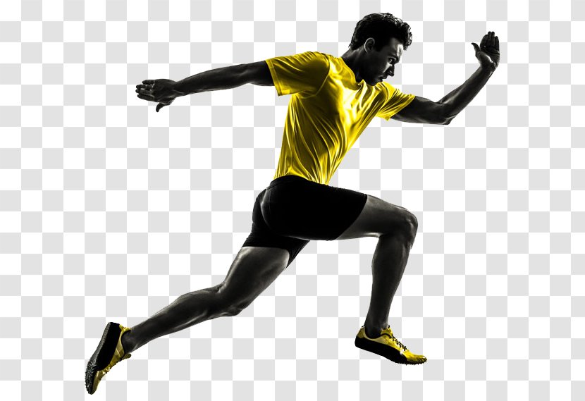 Running Sprint Stock Photography Royalty-free Clip Art - Physical Exercise - Sports Transparent PNG