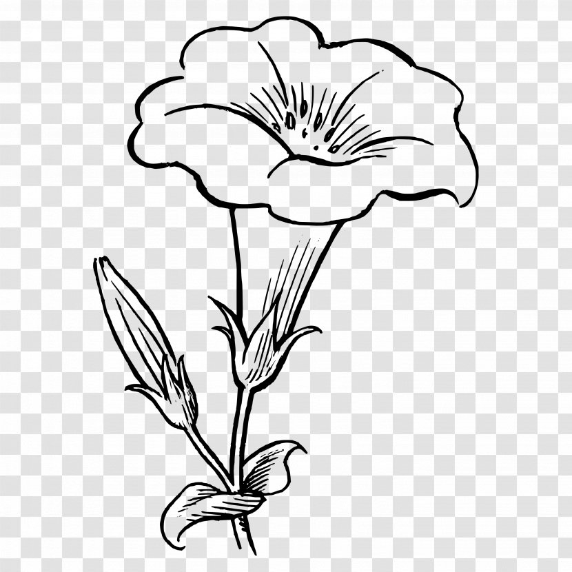 Black And White Drawing Floral Design Clip Art - Plant - Flower Transparent PNG
