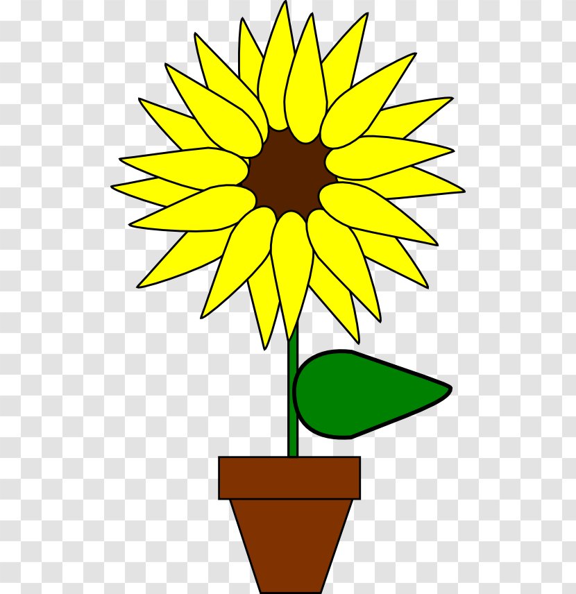 Common Sunflower Plant Clip Art - Flora - Cartoon Transparent PNG
