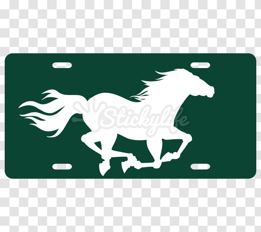 Mustang Stallion Pack Animal Freikörperkultur - Horse Like Mammal Transparent PNG