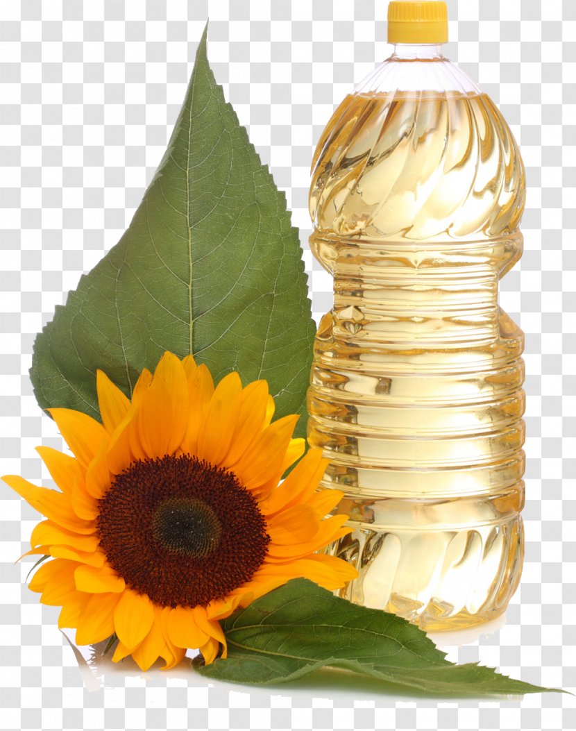 Common Sunflower Oil Vegetable Seed Transparent PNG