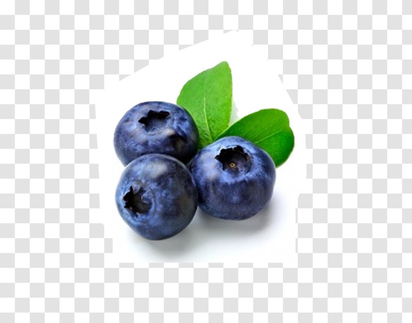 Blueberry Fruit Muffin Flavor Cream - Vaccinium Angustifolium Transparent PNG