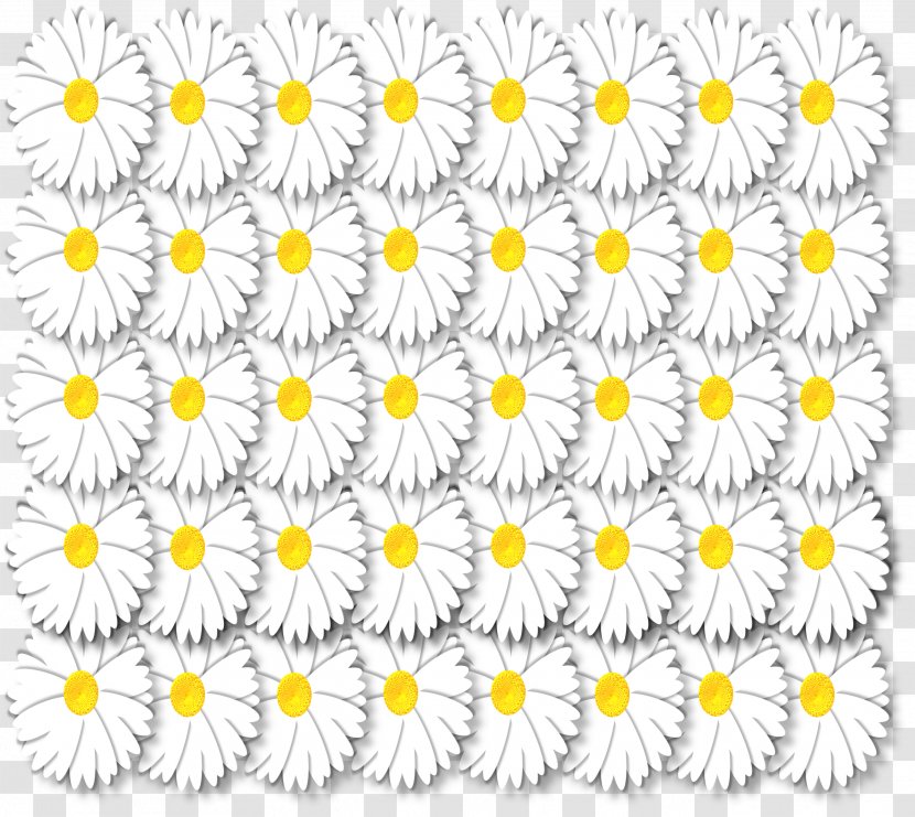 Chrysanthemum Floral Design Oxeye Daisy Cut Flowers - Flowering Plant Transparent PNG