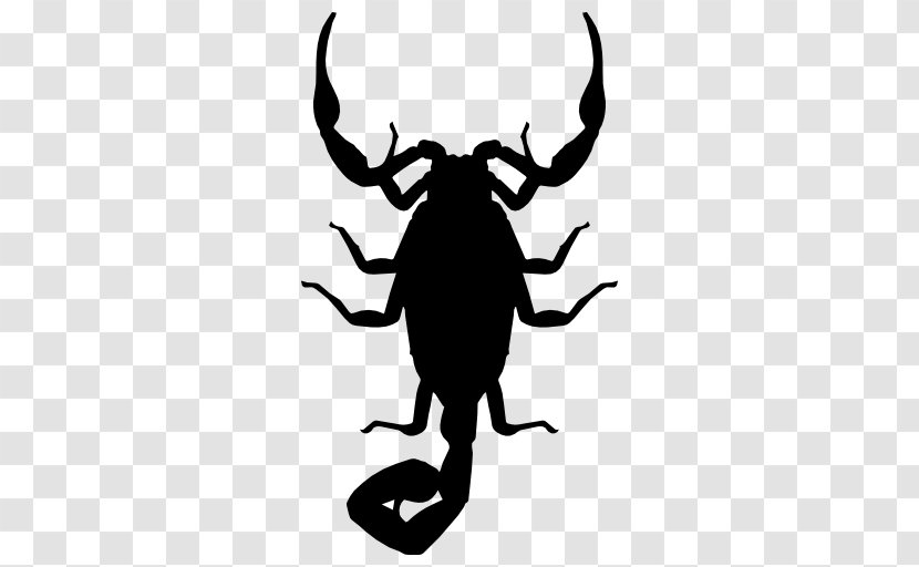 Scorpion Silhouette Euclidean Vector Icon - Shape Transparent PNG