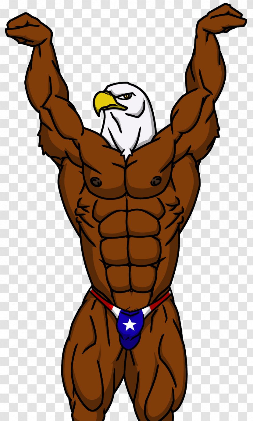 Muscle Arm Bodybuilding Art Furry Fandom - Museum - Eagle Transparent PNG