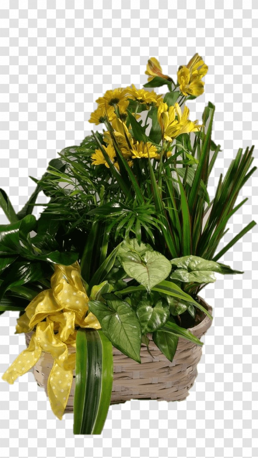 Floral Design Wheaton West Chicago Carol Stream Warrenville - Plant - Flower Transparent PNG