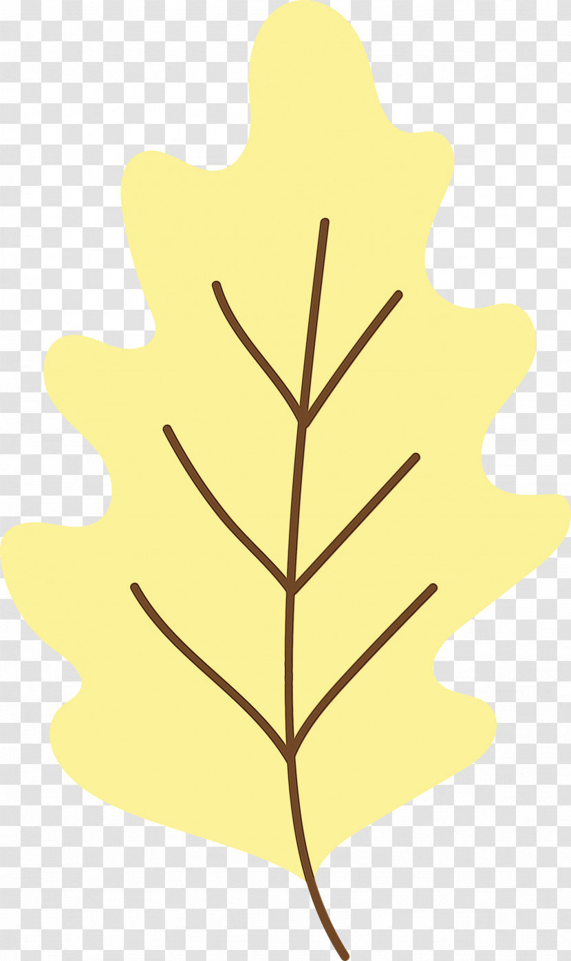 Leaf Yellow M-tree Line H&m Transparent PNG