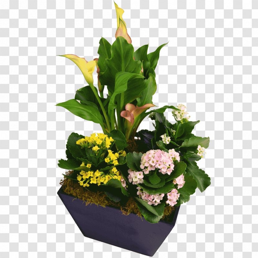 Floral Design Cut Flowers Flowerpot Flower Bouquet Transparent PNG