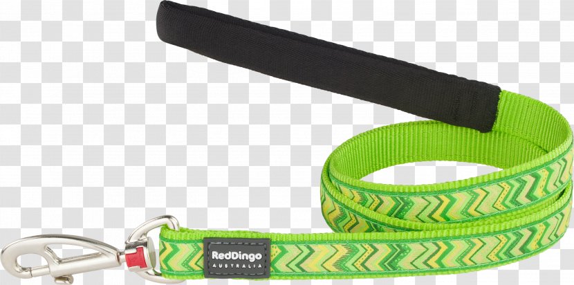 Leash - Green - Design Transparent PNG